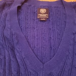 V-neck American Eagle Royal Blue Ribbed Sweater
